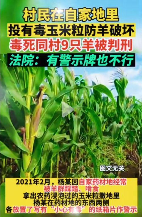 51亿吃瓜网,揭秘娱乐圈幕后故事，带你领略娱乐风云  第2张