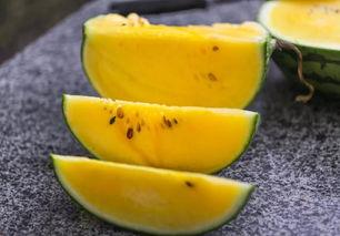 杭州网红吃瓜合集