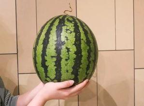 杭州网红吃瓜合集  第2张