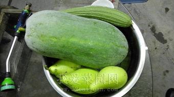 吃瓜网今日吃瓜热门在线观看  第2张