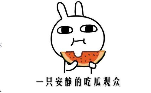 最近网暴的吃瓜事件是什么,揭秘近期引发热议的吃瓜事件