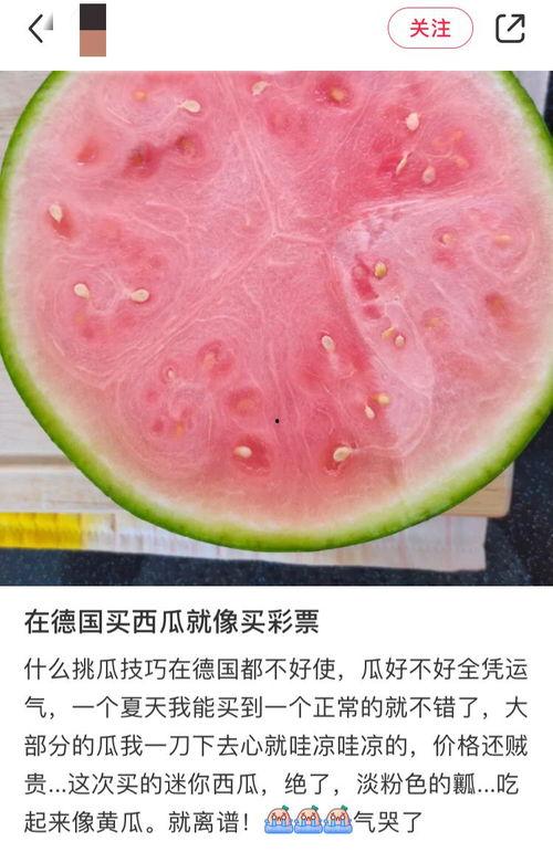 全球吃瓜网,揭秘娱乐圈幕后故事，带你领略娱乐风云变幻  第2张