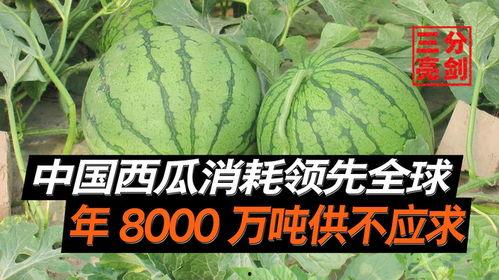 全球吃瓜网,揭秘娱乐圈幕后故事，带你领略娱乐风云变幻  第3张